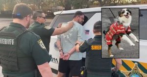 osceola puppy arrest